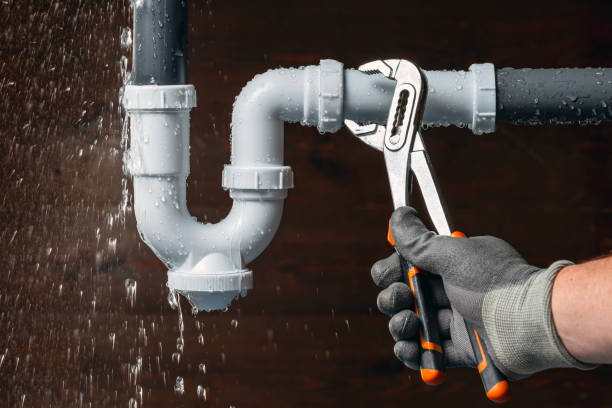 Professional Emergency Plumber technician working in Newport, MI